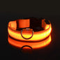 Nylon LED Collar