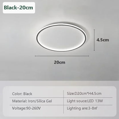 Modern LED Ceiling Light