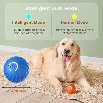 Smart Dog Toy