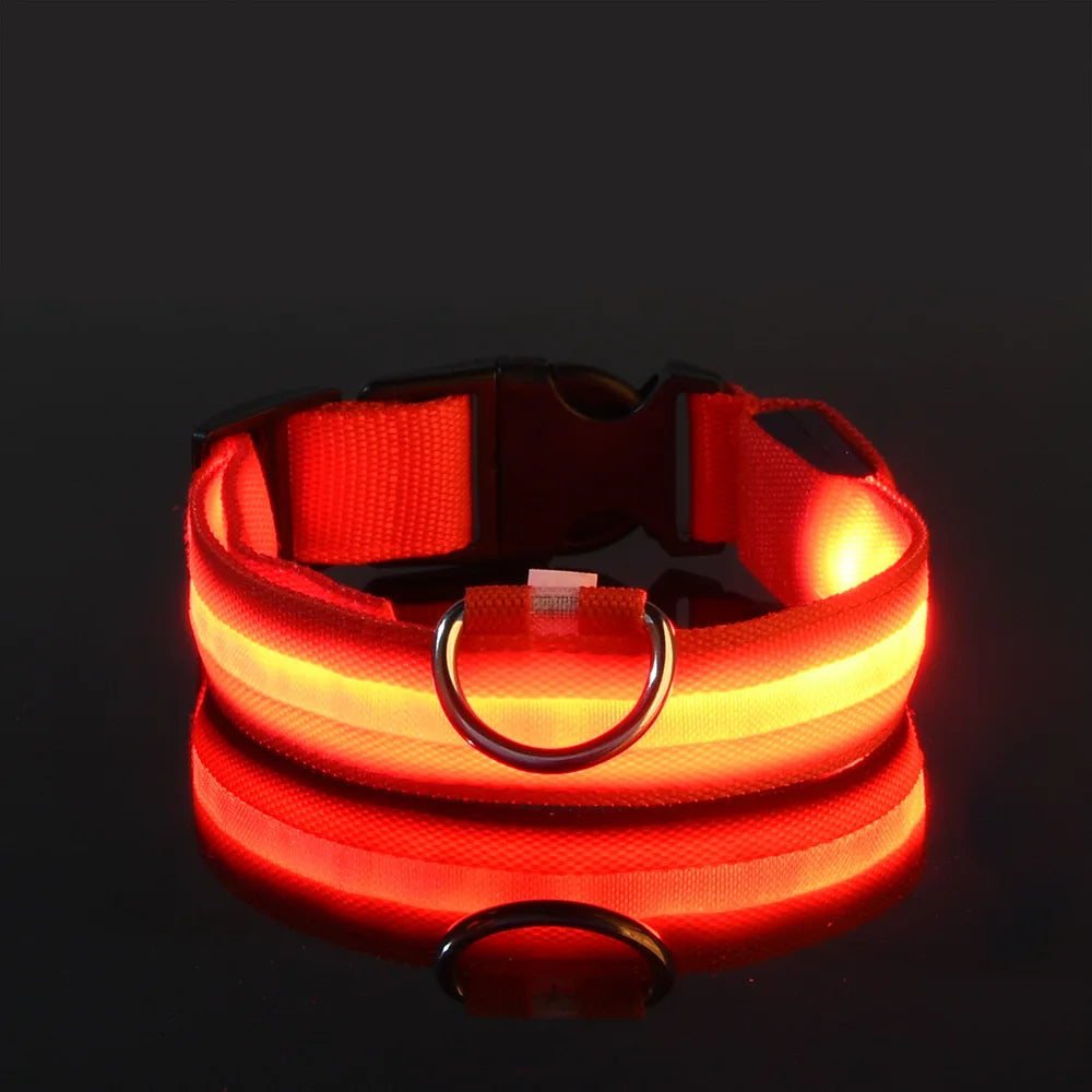 Nylon LED Collar