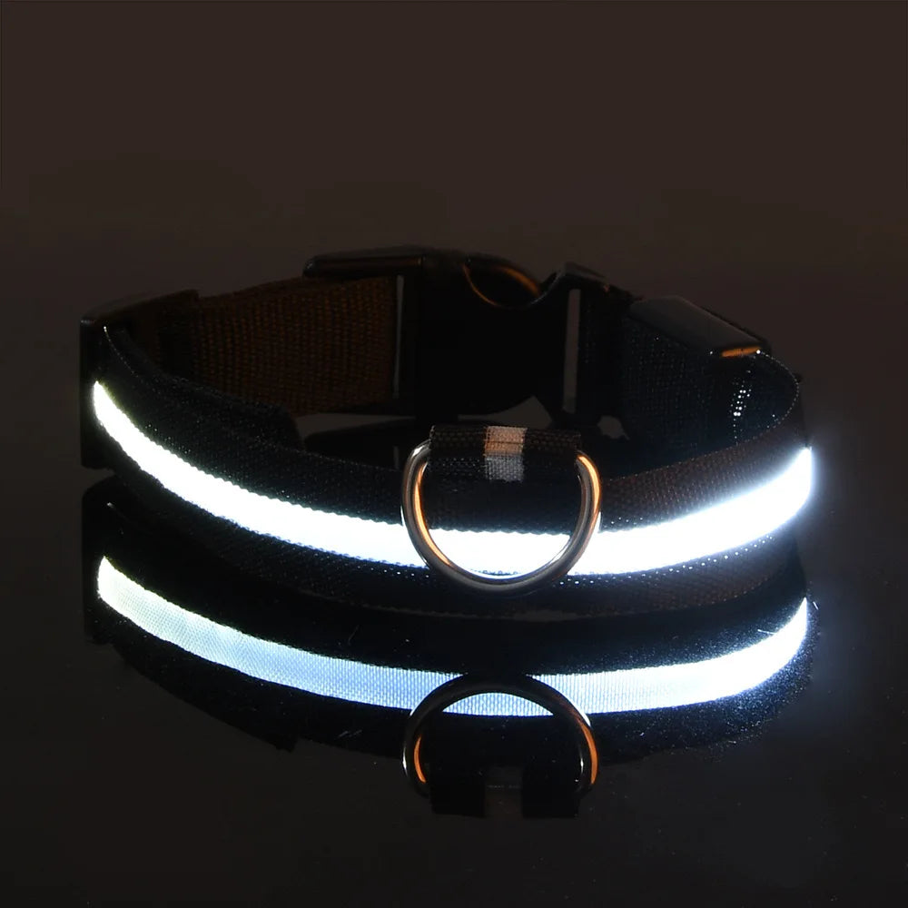 Nylon LED Collar