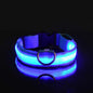 Nylon LED Collar