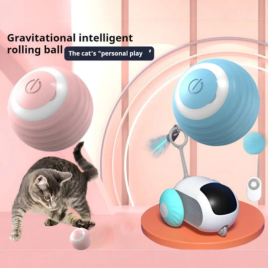 Interactive Ball