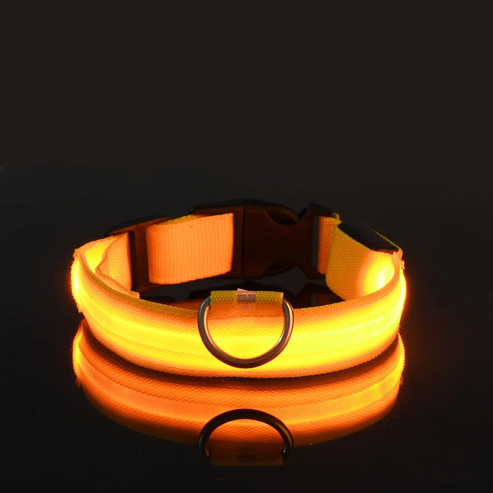 Nylon LED Collar