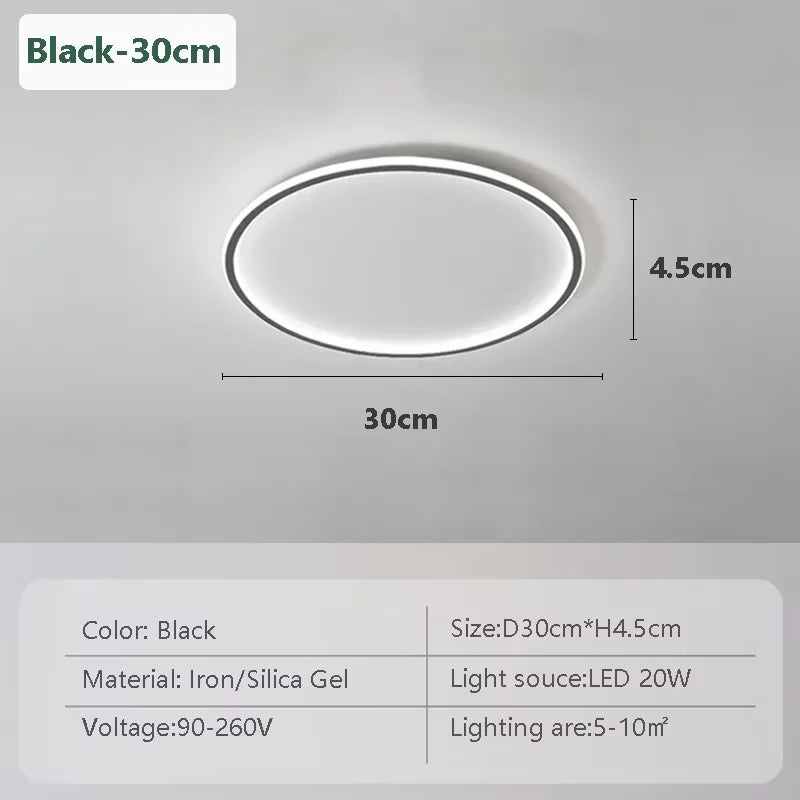 Modern LED Ceiling Light