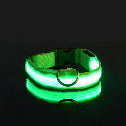 Nylon LED Collar