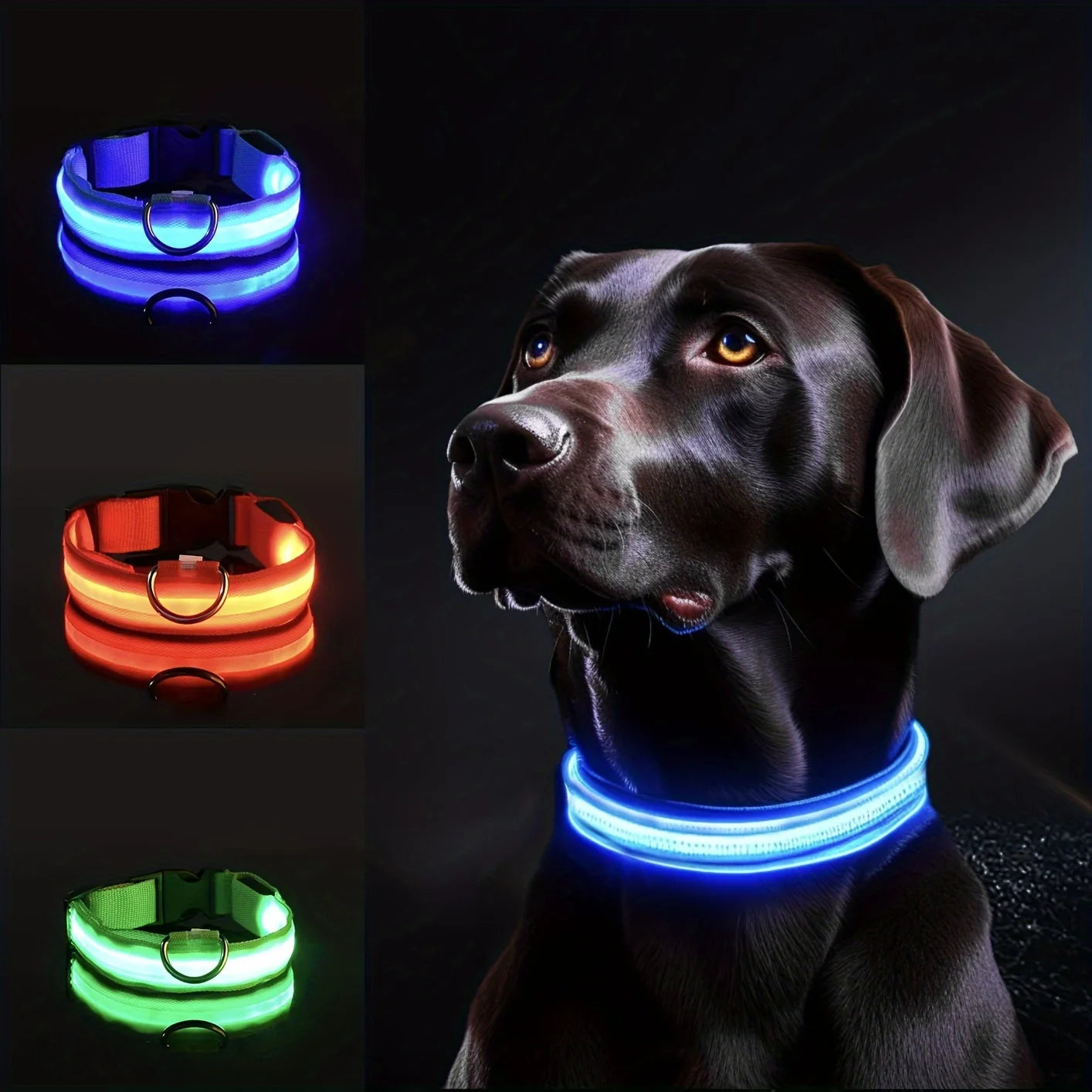 Nylon LED Collar