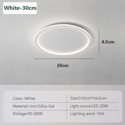 Modern LED Ceiling Light