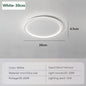 Modern LED Ceiling Light