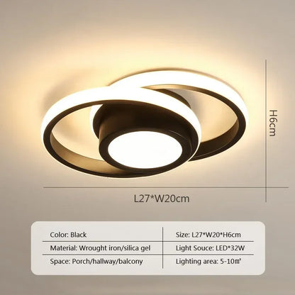 Modern LED Ceiling Light