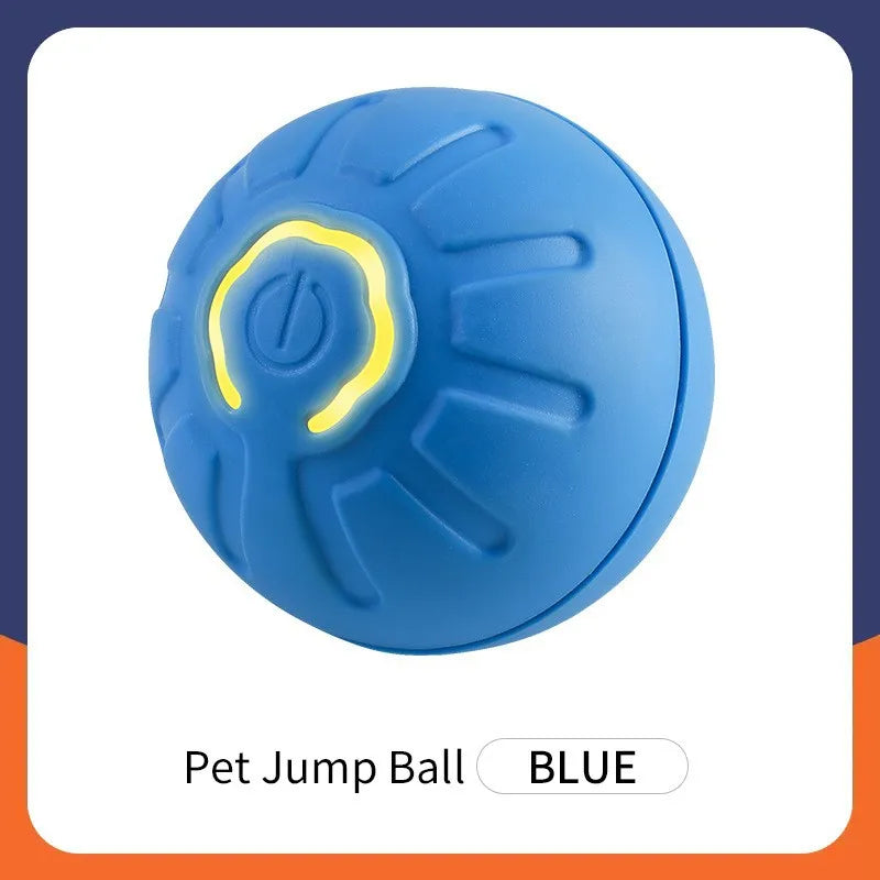 Smart Dog Toy