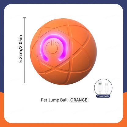 Smart Dog Toy