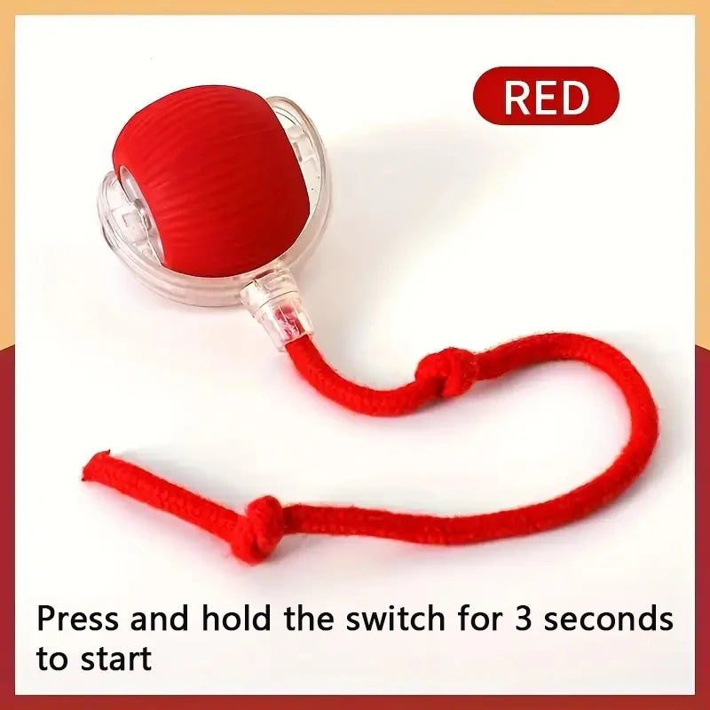 Smart Dog Toy