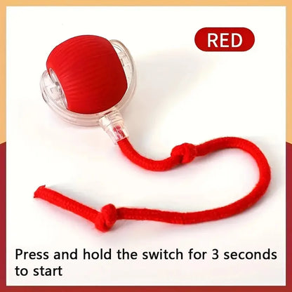 Smart Dog Toy