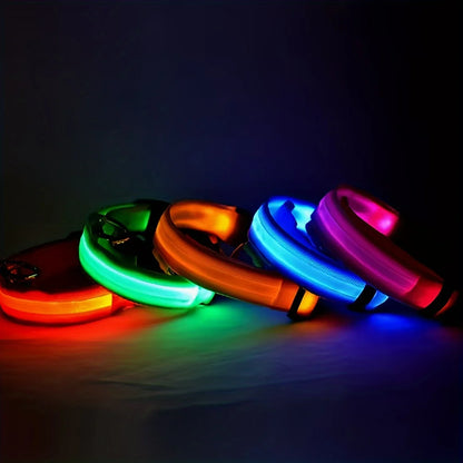 Nylon LED Collar