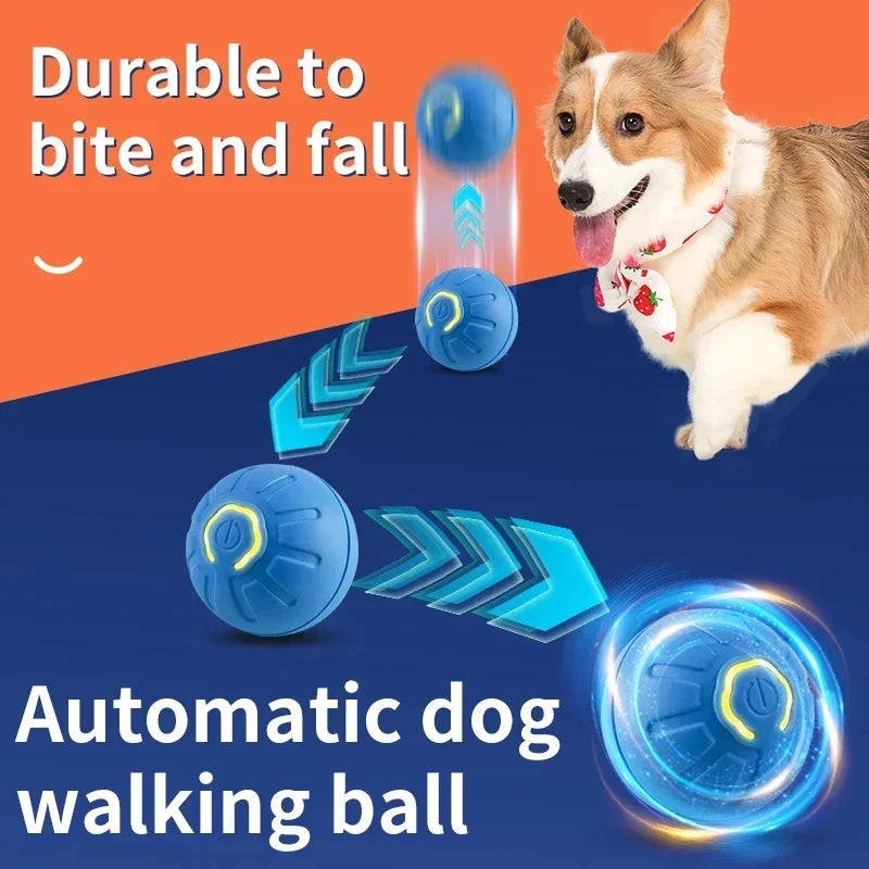 Smart Dog Toy