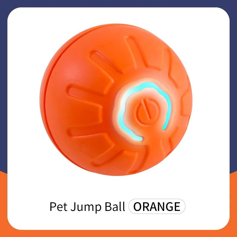 Smart Dog Toy