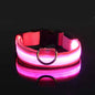 Nylon LED Collar