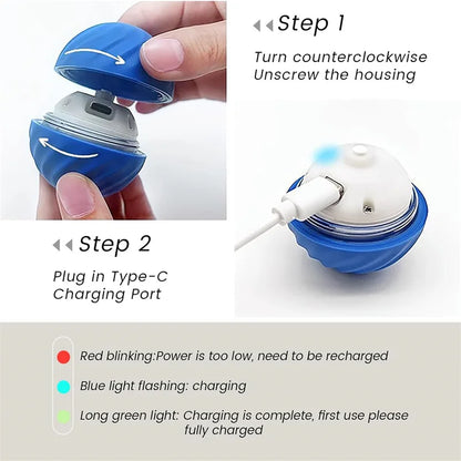 Smart Dog Toy