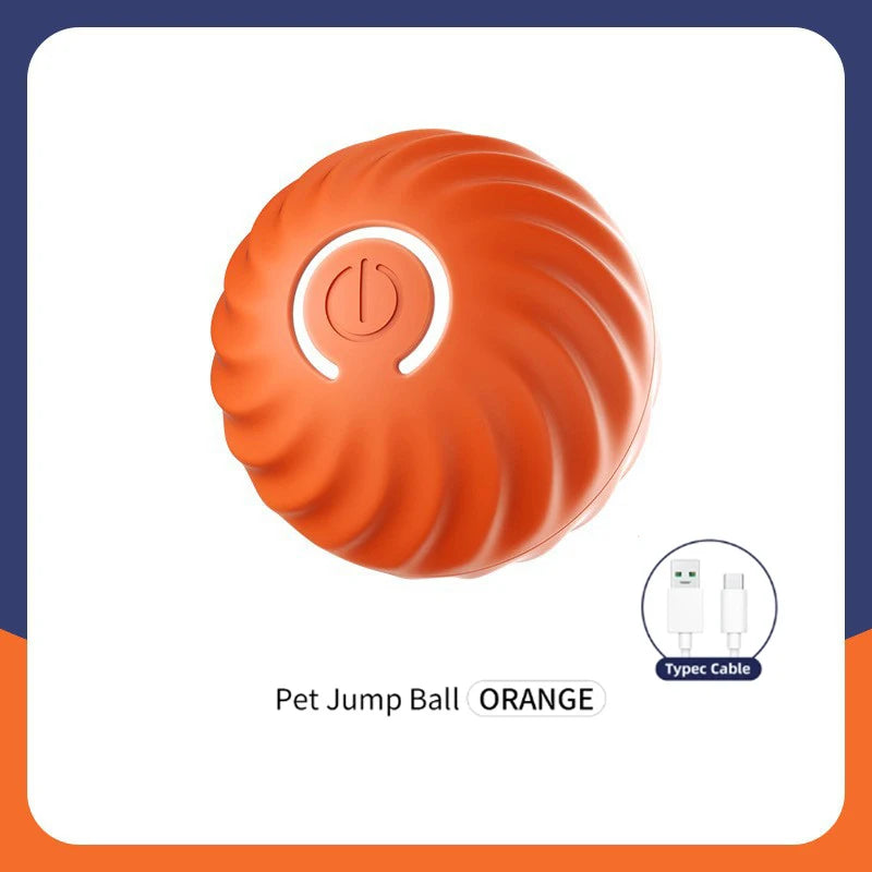 Smart Dog Toy