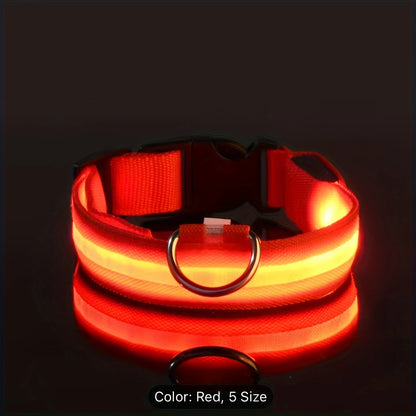 Nylon LED Collar